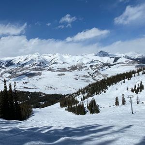 Meet your Posher, Jonas